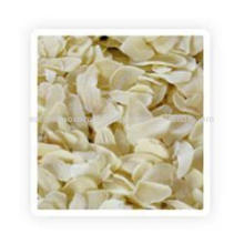 Wholesaler of Freeze Dried Garlic